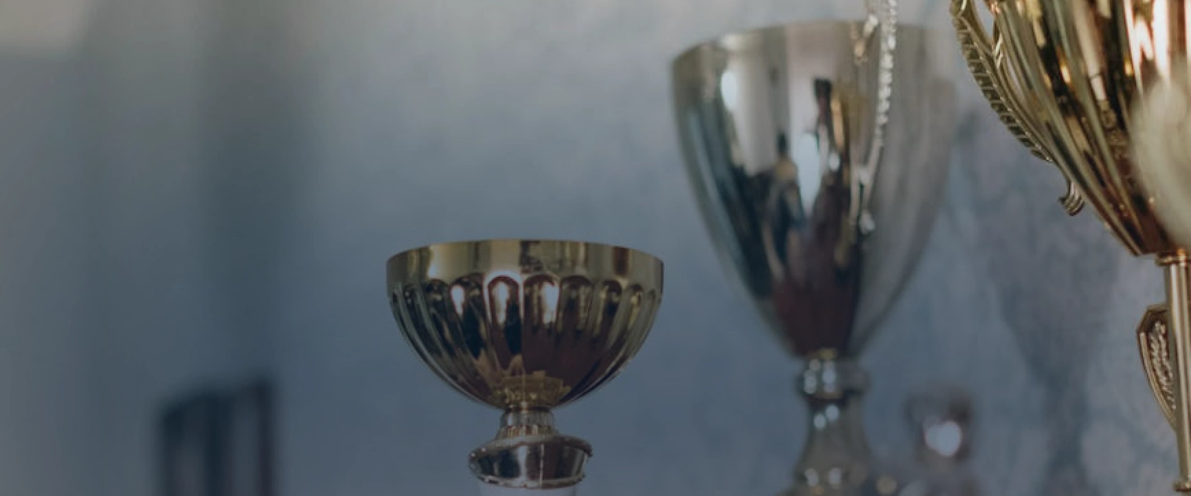 Rohit Singh Tajpuriya Awards